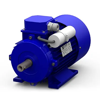 Single Phase Induction Motor