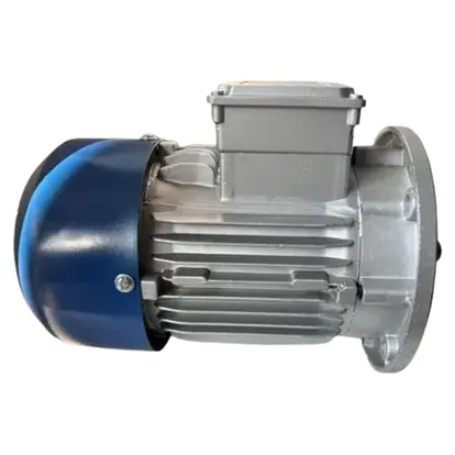 AC Induction Motor